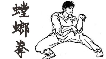 兰州冯沅翔武术馆招生雁西路-螳螂拳介绍